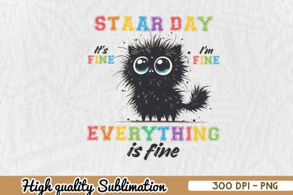 Test Day Black Cat Teacher Sublimation Review